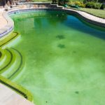comment-traiter-algues-piscine Exemple de piscine envahie d'algues vertes