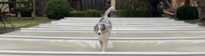 couverture-a-barres-securite-piscine (1)