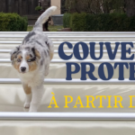 couverture barres ete hiver bache securite protection piscine privee norme